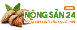 Mẫu web bán hàng mới của NinhBinhWeb